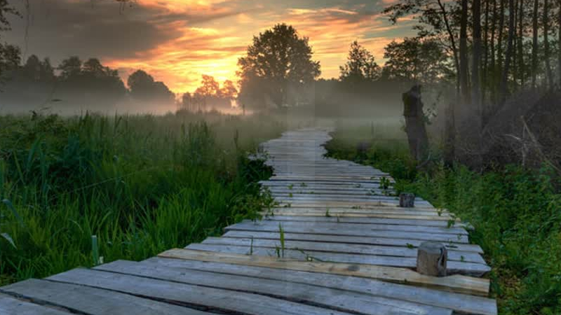 Peelhorst en Maasvallei zet nieuwe stap richting UNESCO-erkenning