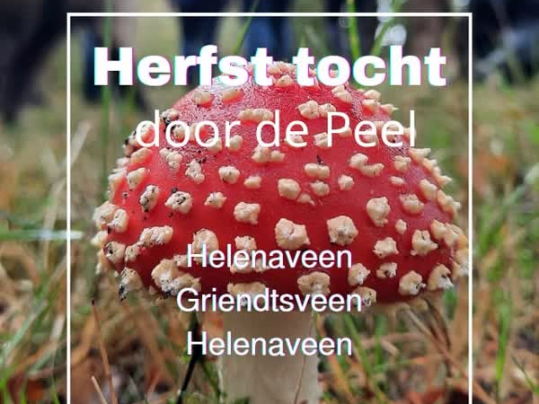 Herfsttocht door De Peel
