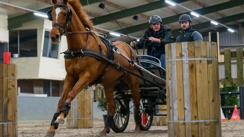 Indoor samengestelde menwedstrijden in Hippisch Centrum De Vosberg Panningen