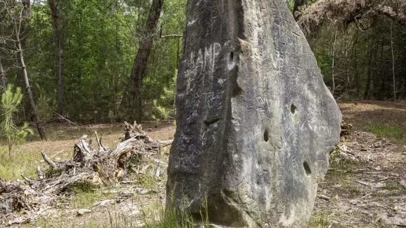 Ontdekkingstocht door bossen Baarlo: In het spoor van de Bospartizanen