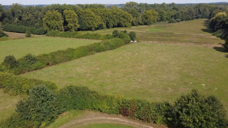 Limburgs Landschap Excursie naar Dubbroek