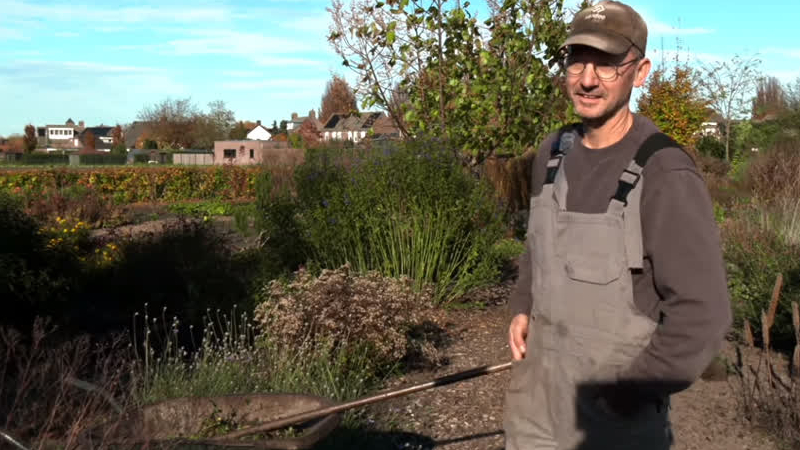 Boetegewoeën: Een tuin vol passie en biodiversiteit in Beringe
