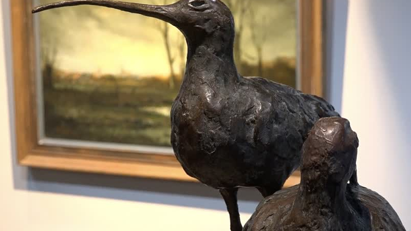 Tentoonstelling ‘Licht op de Peel’ in Museum verlengd