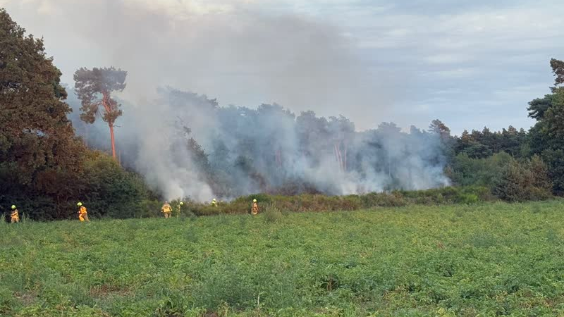 Groot bosgebied bij De Meeren in brand