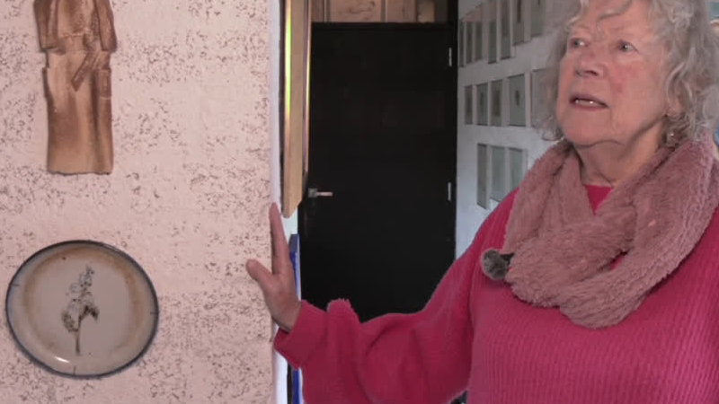 Kunstenares uit Baarlo toont haar bijzondere wereld aan kunst