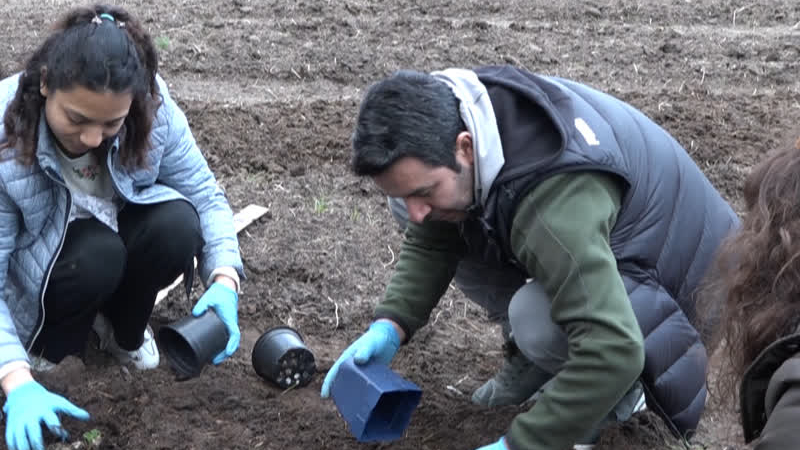 Verschillende culturen beheren samen moestuin in Koningslust