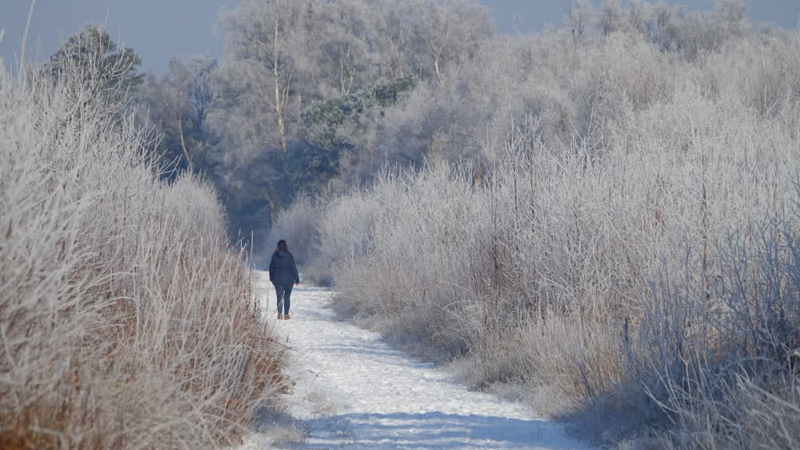 Winter Stiltewandeling in De Groote Peel