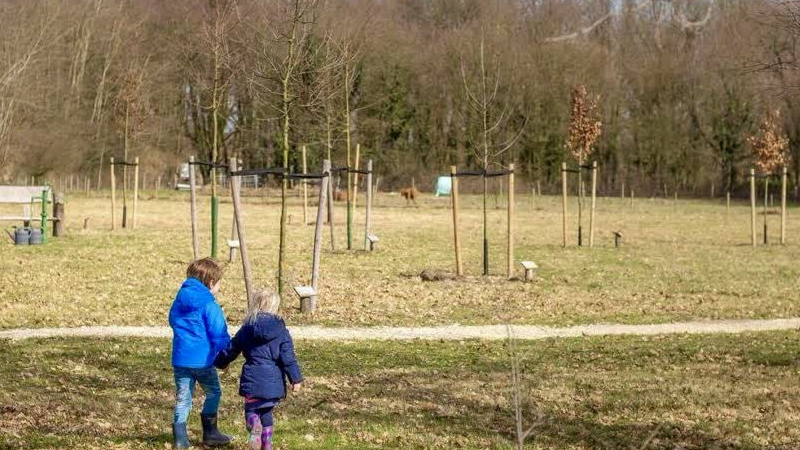 Stichting Burgerbos organiseert nieuwe informatiebijeenkomst in Reuver
