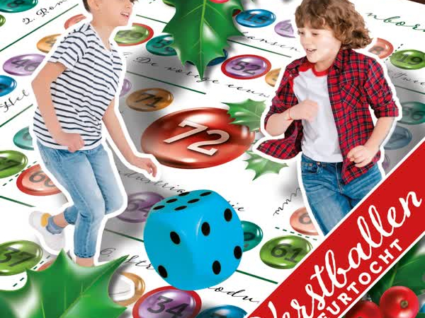 Levend Kerstganzenbord bij Museum Peel en Maas