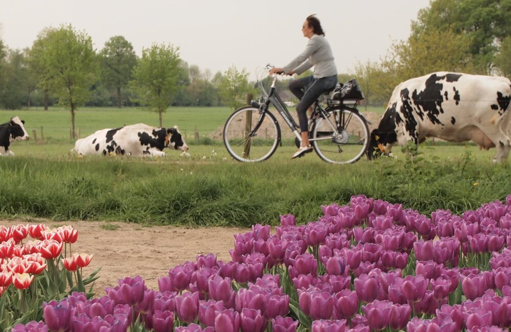 Loeren fietser_edited.jpg