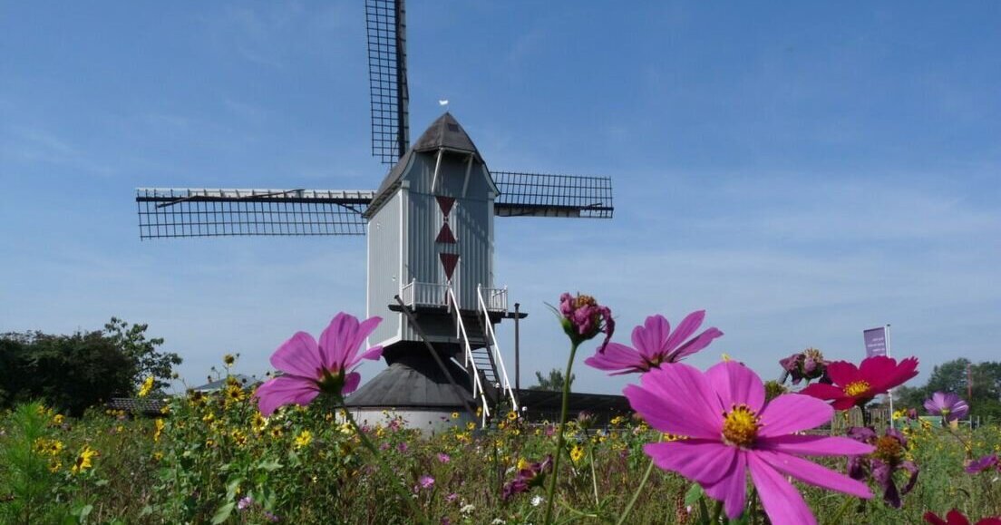 Peel en Maas stemt in met voorbereiding verplaatsing molen Kessel