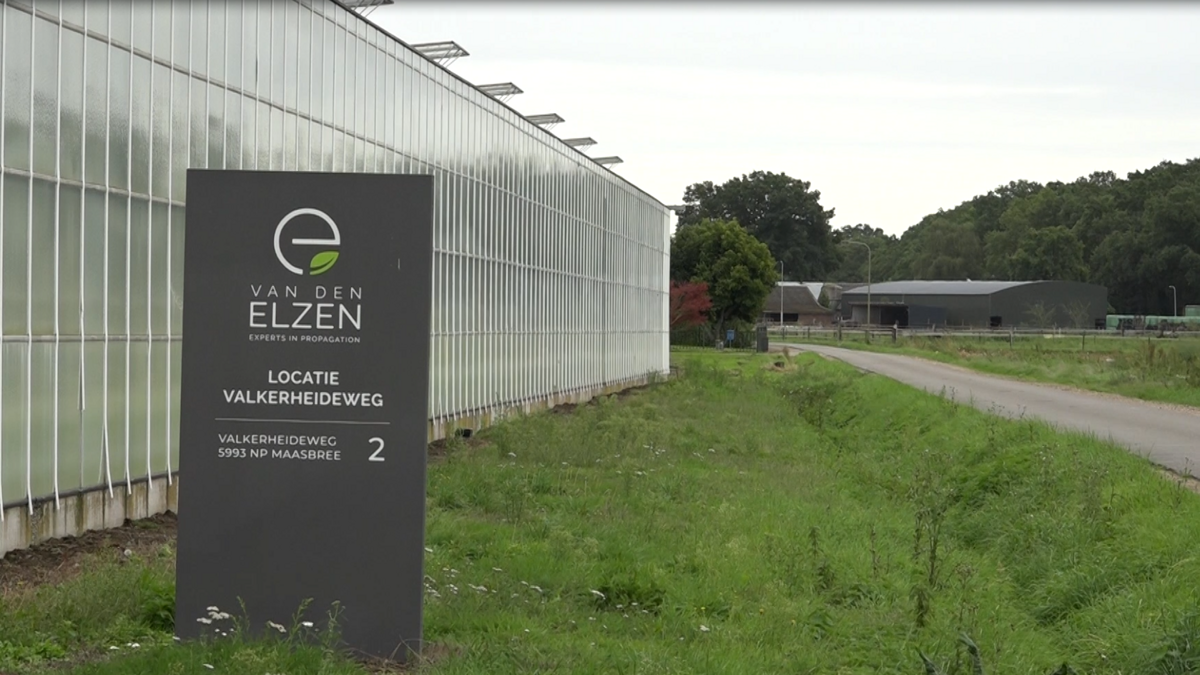 Van den Elzen