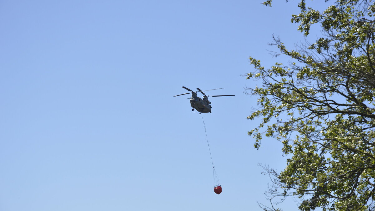 blus chinook