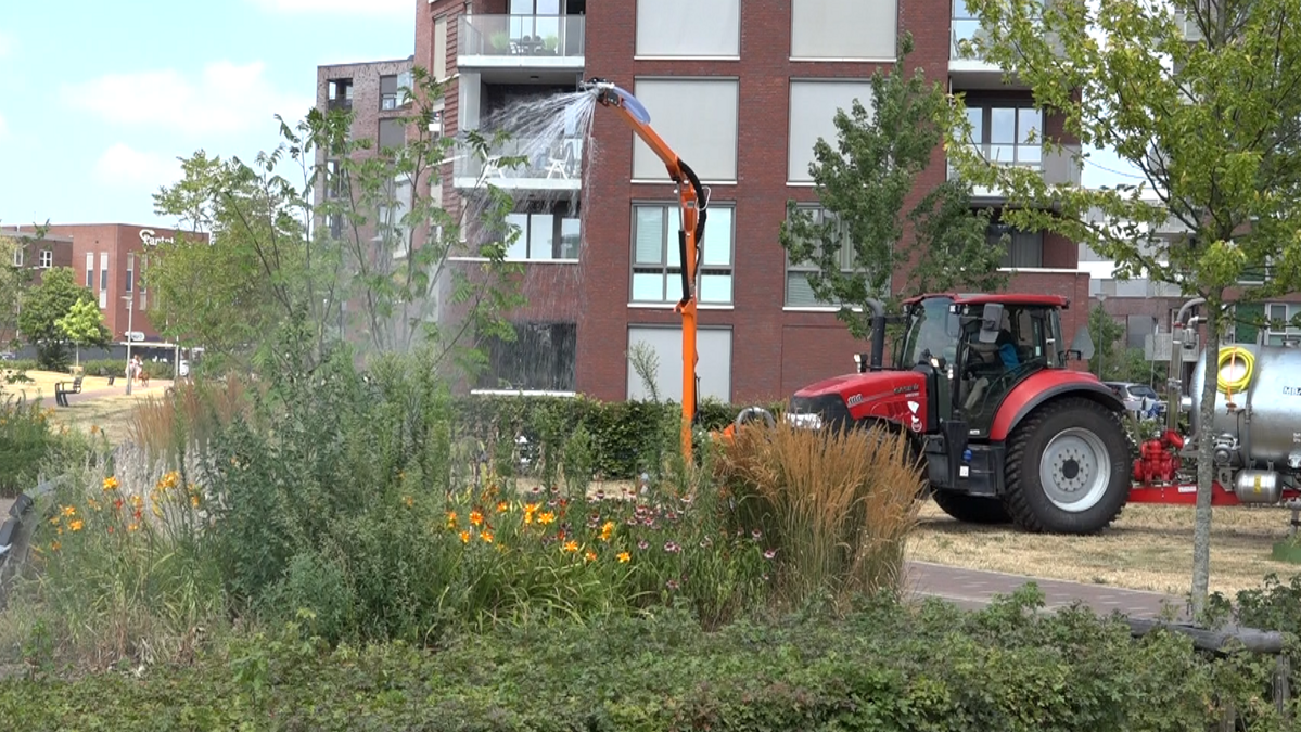 sproei
