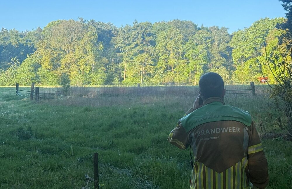brand heldense bossen2.jpeg