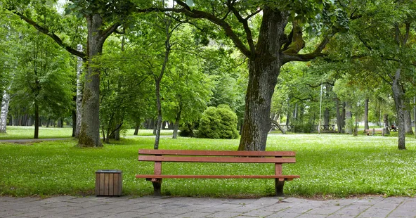 Wildenkamp in Reuver verandert van speelplek naar parkinrichting