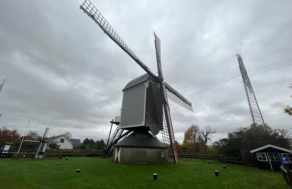 molen.jpg
