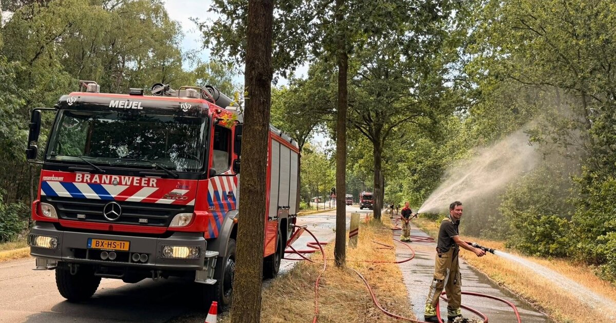 Brandweerkorpsen uit Peel en Maas ingezet bij grote natuurbrand Oostrum