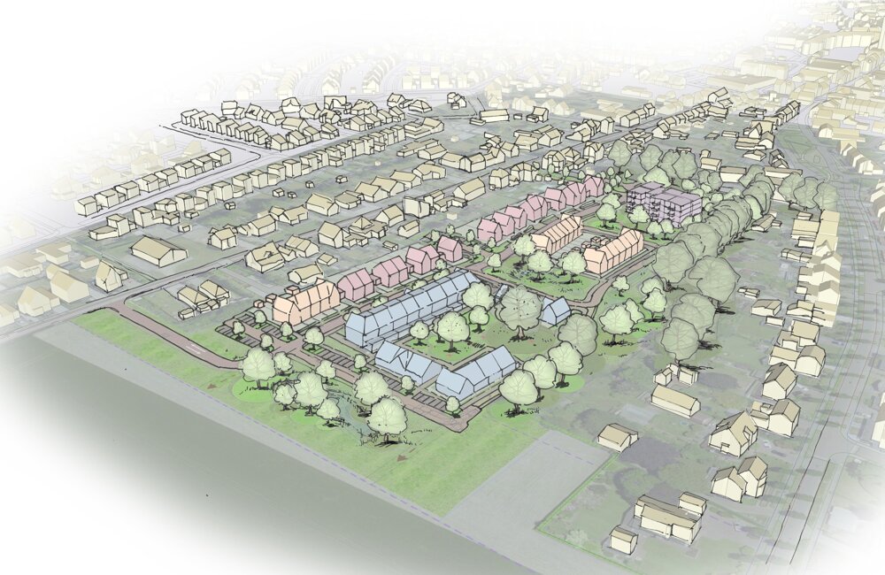 2026-01-21 Meuleveld, comm grex.jpg