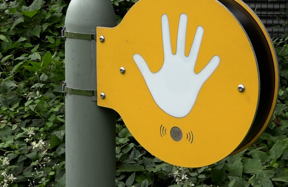 High Five project
