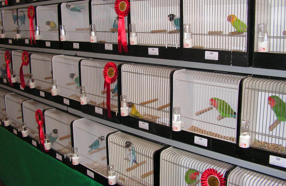 Meijels Pracht PICT0064 (003)