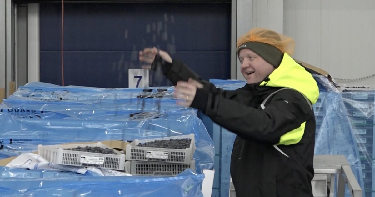 Robbert Leisink: van directeur naar prins in Panningen