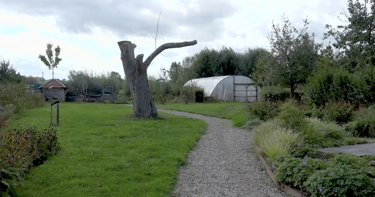 Dwars Door Limburg: in zijn bijzondere tuin laat André natuur, voedsel en dieren samenkomen