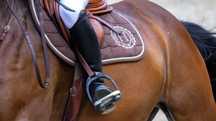 Paardensport ruiter stock