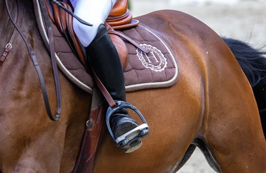 Paardensport ruiter stock