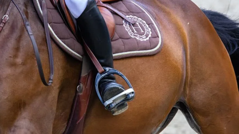 Schermafbeelding 2026-02-26 121127.png