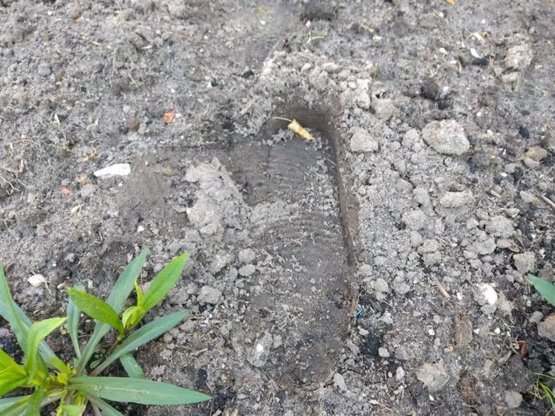 08468697cca704541453f3db8c5f68e4