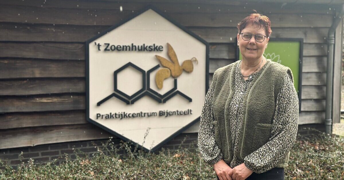 Aziatische hoornaar actief: meld en help bestrijden