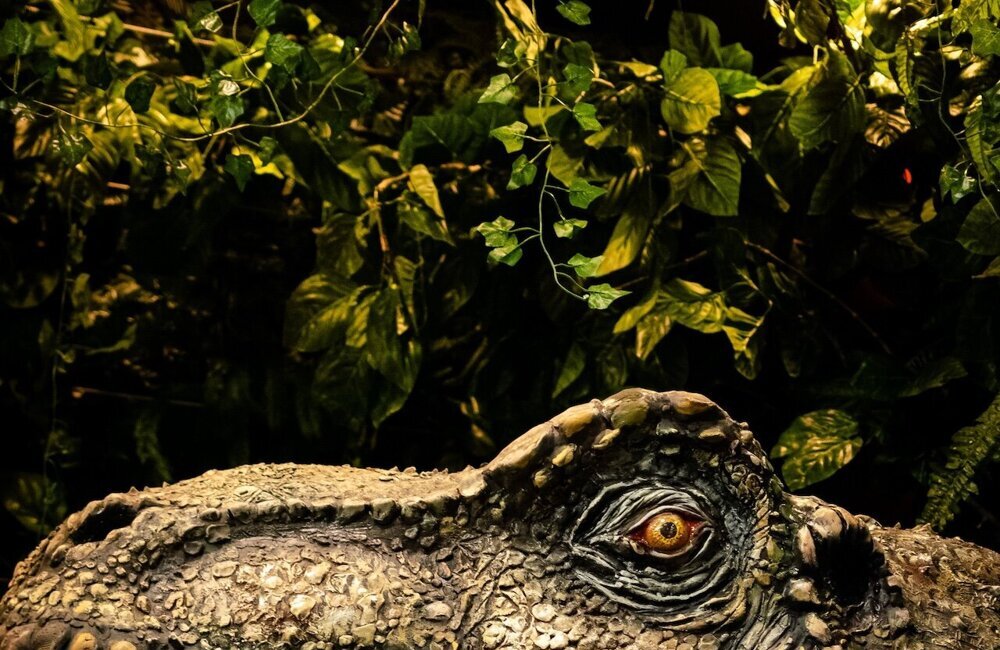 Dino-expo Kasteel De Keverberg