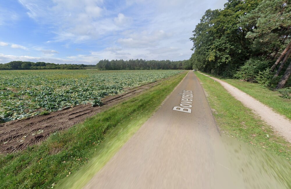 Bovensbos