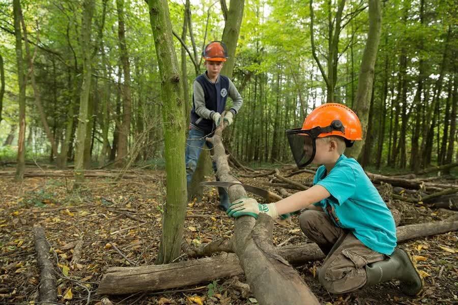 4563d405d383e3d6e610fbbaf43533a7