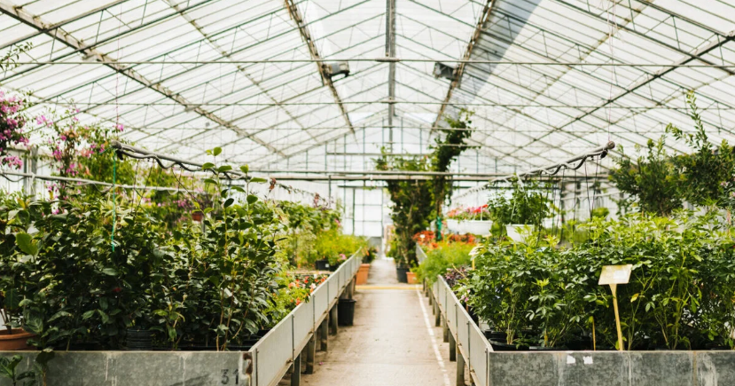 Gemeente: uitbreiding glastuinbouw Platveld alleen onder strenge voorwaarden