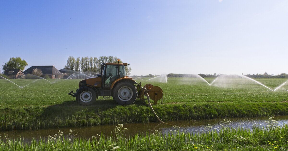 Hydroloog uit Baarlo kritisch op aanpak droogte: ‘Het gaat te langzaam’
