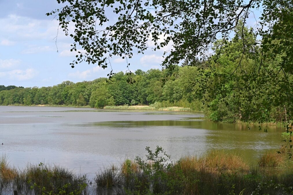 ZwartWater_Venkoelen_Henk Heijligers