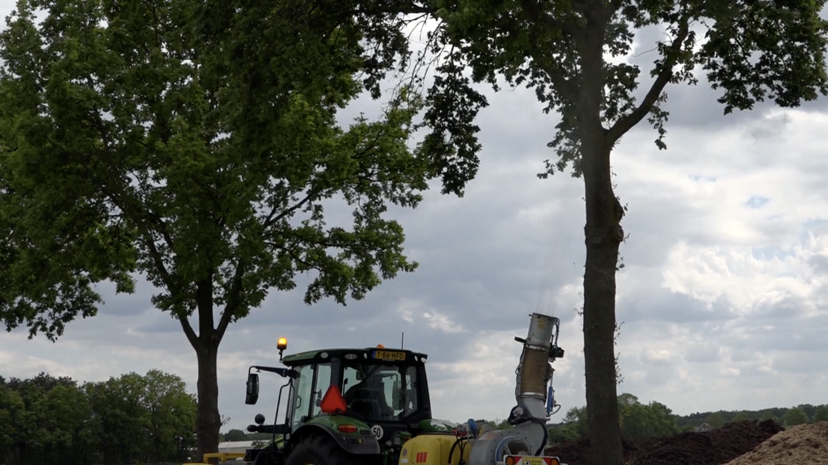 Eikenprocessierups bestrijding.png