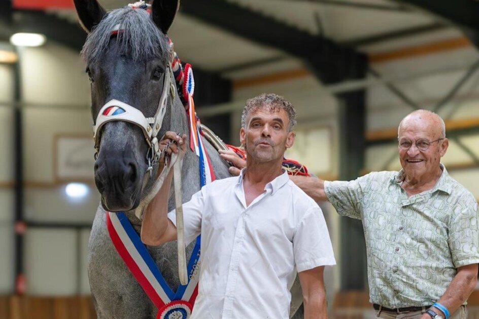 John Verlinden uit Panningen wint internationale titel met trekpaard Ilse