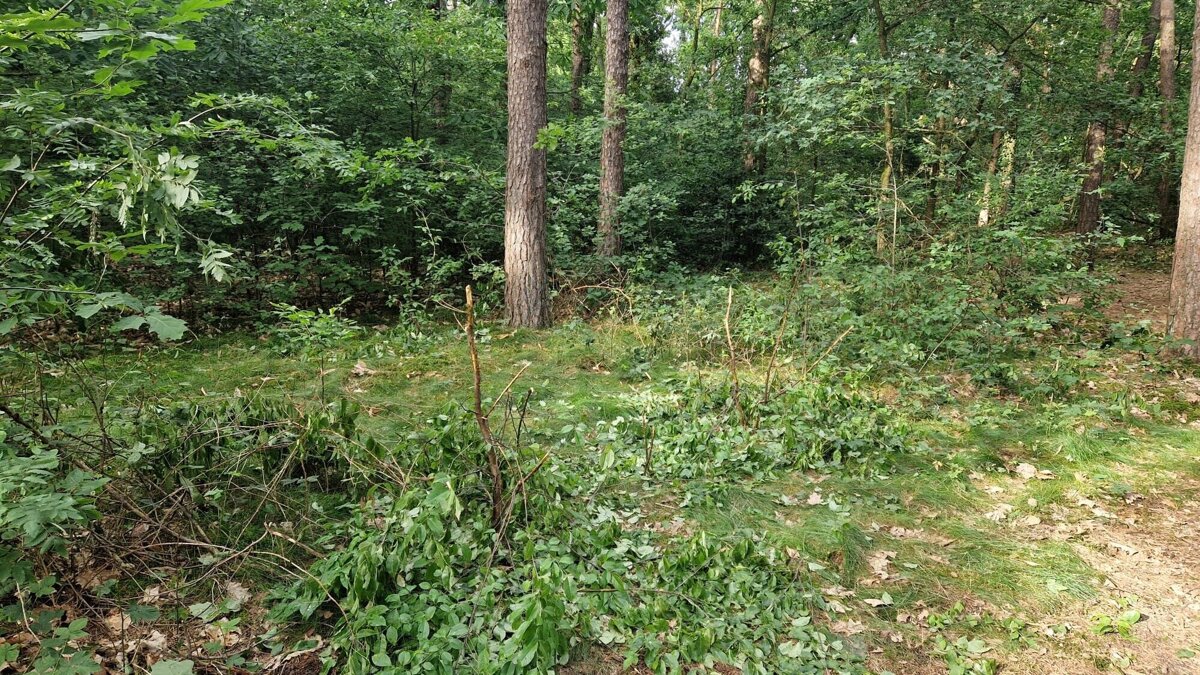 image00005