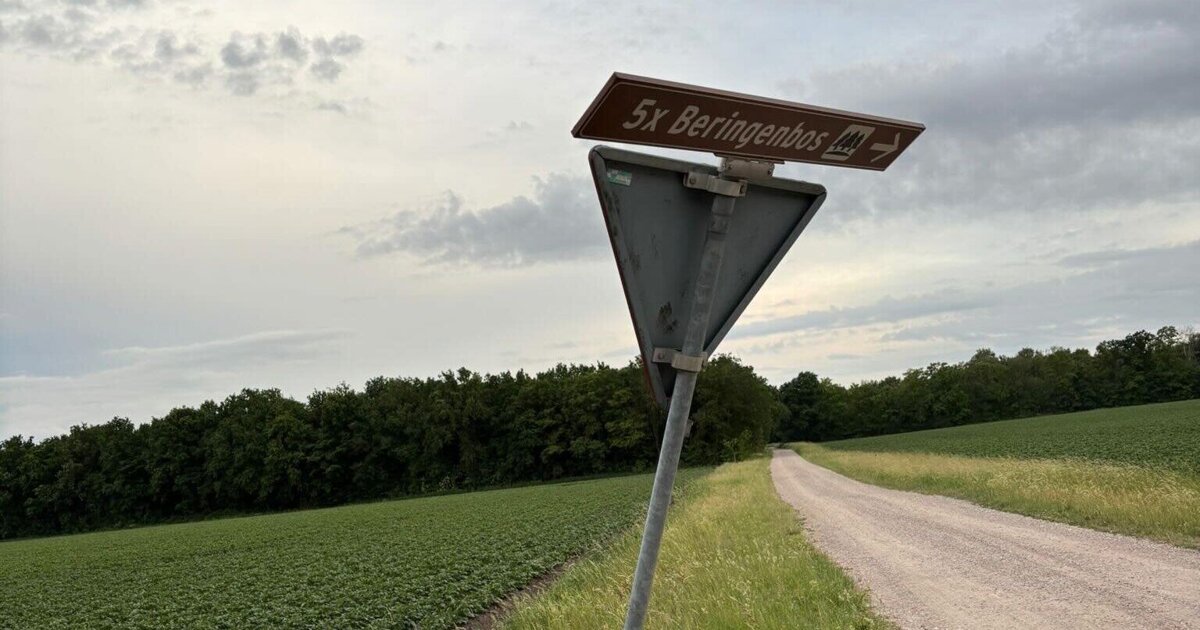 Vernielingen in 5x Beringenbos: vrijwilligers roepen op tot alertheid