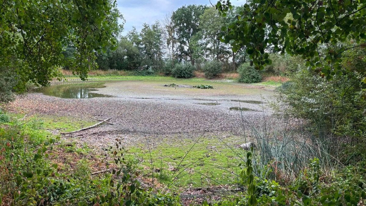 Vlasrooth droog 1