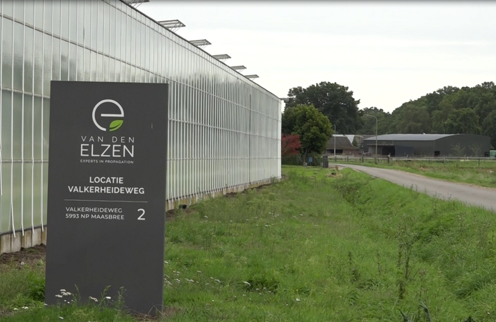 Van den Elzen