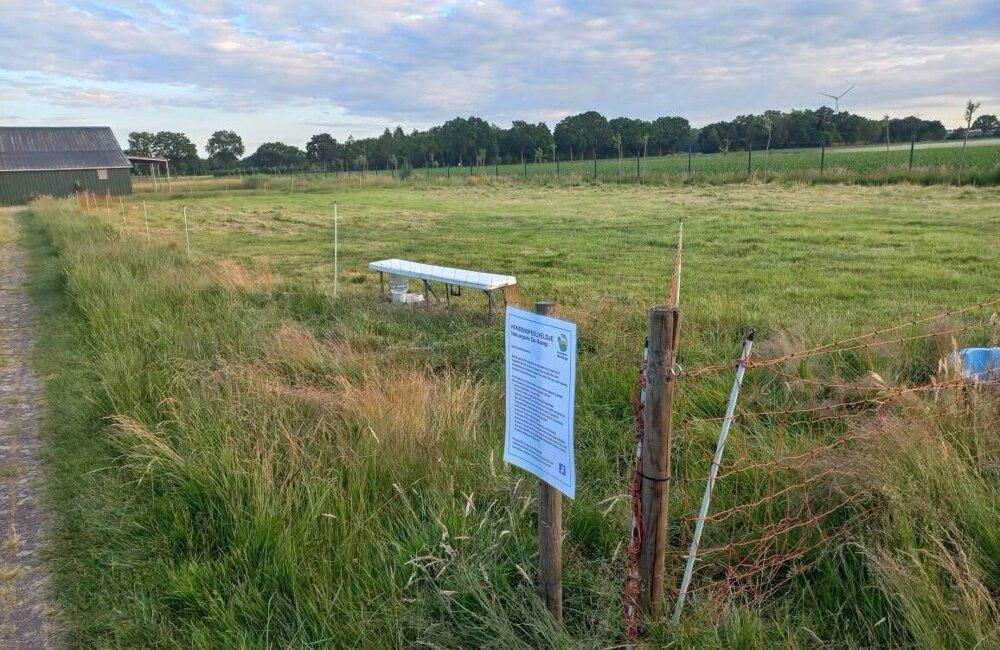 hondenspeelveld