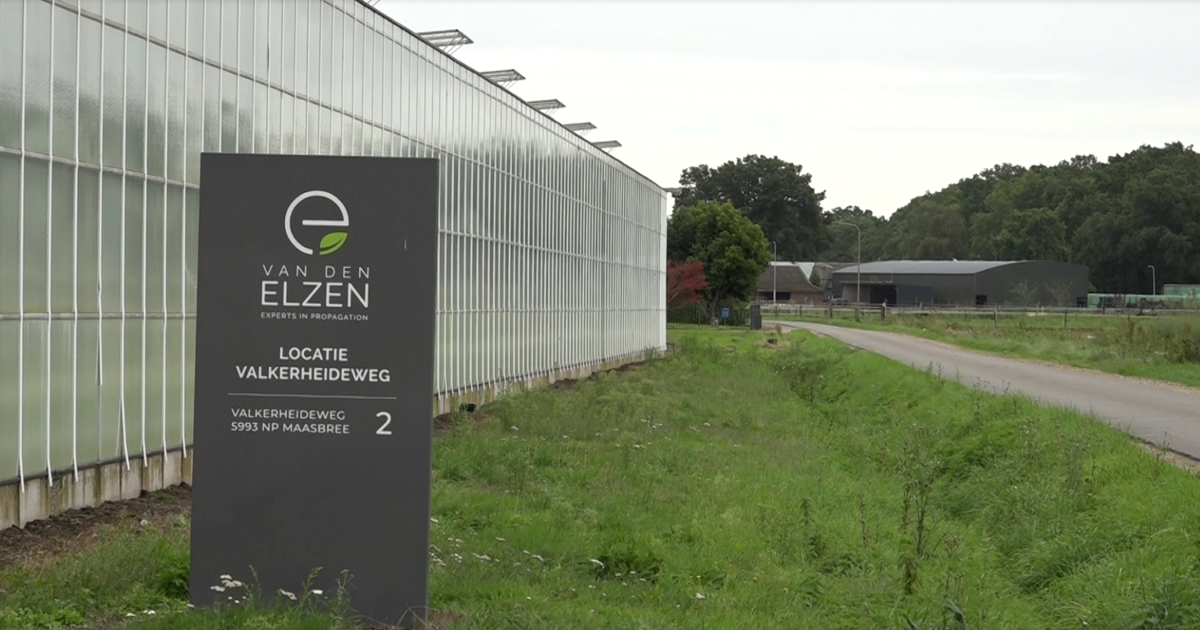 Plan voor huisvesting honderden arbeidsmigranten in Maasbree stuit op verzet