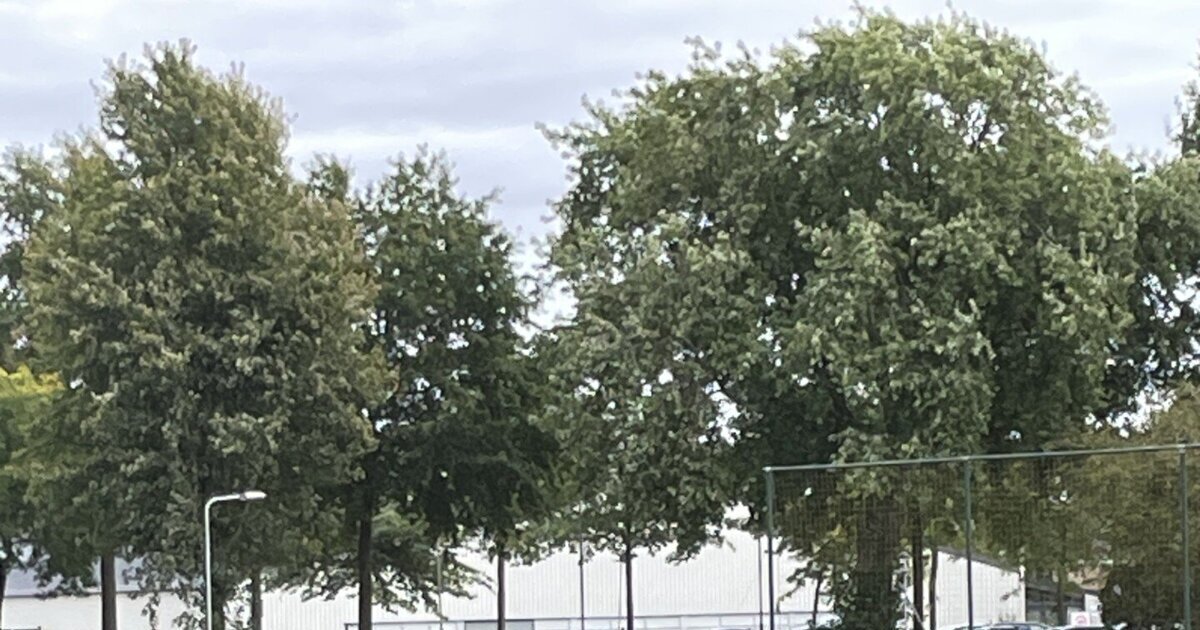 Helden opent seizoen met derbyzege in Sportpark Panningen-Noord