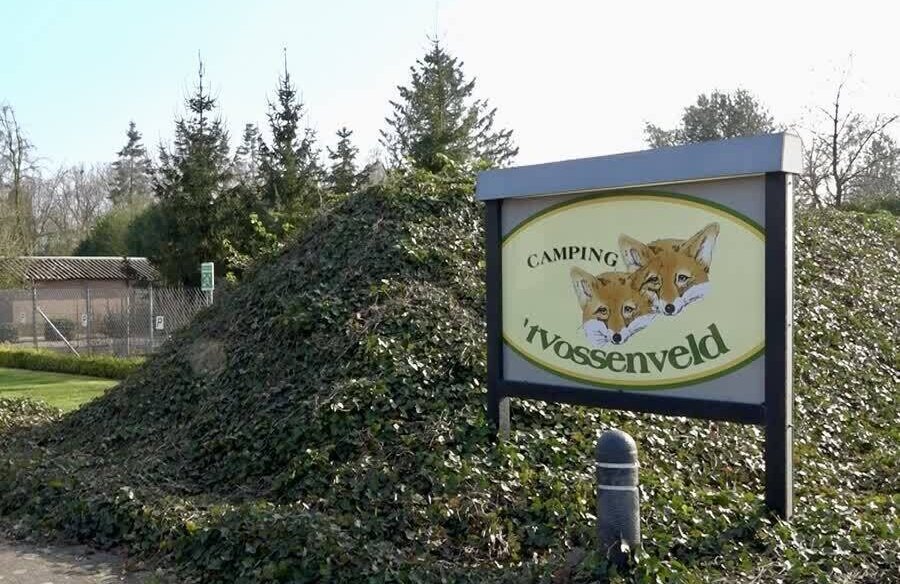 Vossenveld Oppe Egchelsehei