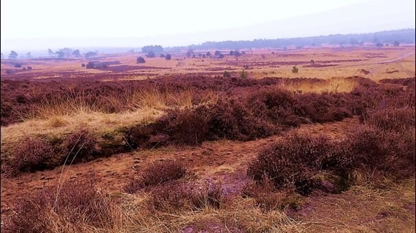 IVN-Lezing stikstof.jpg