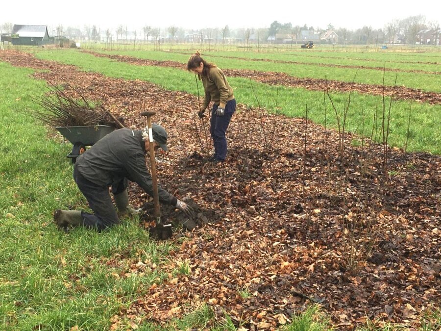 27-10IVNMeer bomen